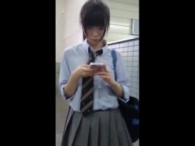【盗撮動画】危険度MAX！小枝のように細くて可愛らしい美少女JKのスカートをチラリと捲りパンチラ捕獲！